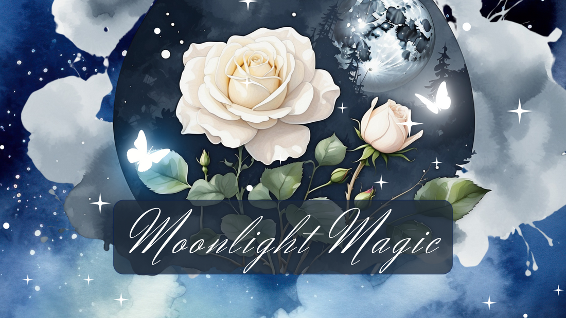 Moonlight Magic Unveiled: A Celestial Symphony in the Elegance Collection