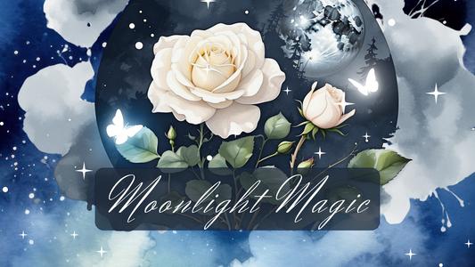 Moonlight Magic Unveiled: A Celestial Symphony in the Elegance Collection